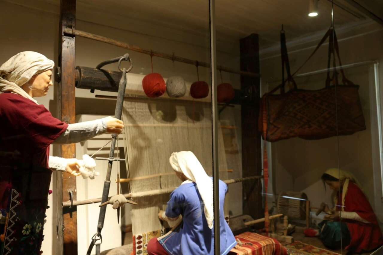 Milas’tan Bodrum’a Göç Rotası Başladı: Tarih ve Doğa İç İçe 5